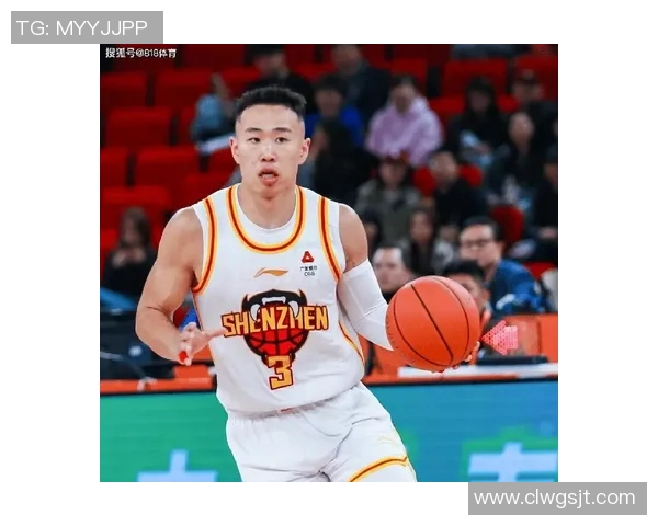 贺希宁:从篮球新星到职业生涯的辉煌旅程与挑战